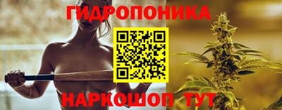 амф Можга