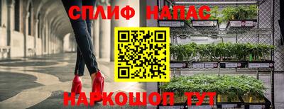 эйфоретик Моздок