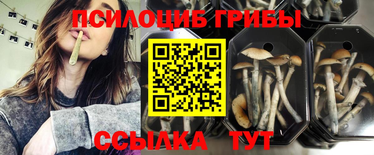 Тобольск  Галлюциногенные грибы GOLDEN TEACHER  Вход с VPN  Галлюциногенные грибы MAGIC MUSHROOMS 